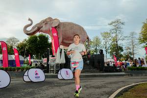 BIB: 
                            <button type="button" onclick="openModal(26529211)" class="btn btn-primary btn-sm float-right btn-popup" data-toggle="modal" data-target=".modal-high-quality">
                        <i class="fas fa-shopping-cart"></i> Add to Cart
                    </button>
                                            <button type="button" onclick="isThisMe(26529211, true)" class="btn btn-success btn-sm float-right btn-popup btn-isme hidden" data-toggle="tooltip" data-placement="bottom" title="นี่คือรูปของคุณใช่ไหม คลิกที่นี่เพื่อเอาเข้าอัลบั้ม">
                        <i class="fas fa-plus"></i> Add to album
                    </button>
                    <button type="button" onclick="isThisMe(26529211, false)" class="btn btn-warning btn-sm float-right btn-popup btn-isnotme hidden">
                        <i class="fas fa-ban"></i> Remove from album
                    </button>